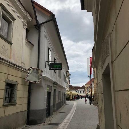 Apartma Linhartov Trg Radovljica Zewnętrze zdjęcie