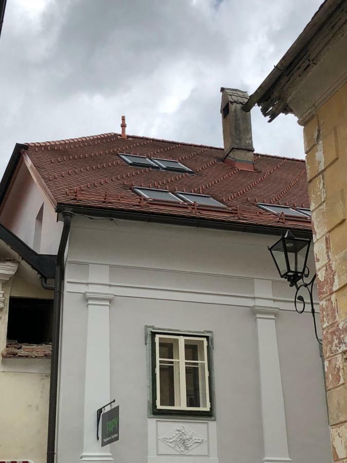 Apartma Linhartov Trg Radovljica Zewnętrze zdjęcie